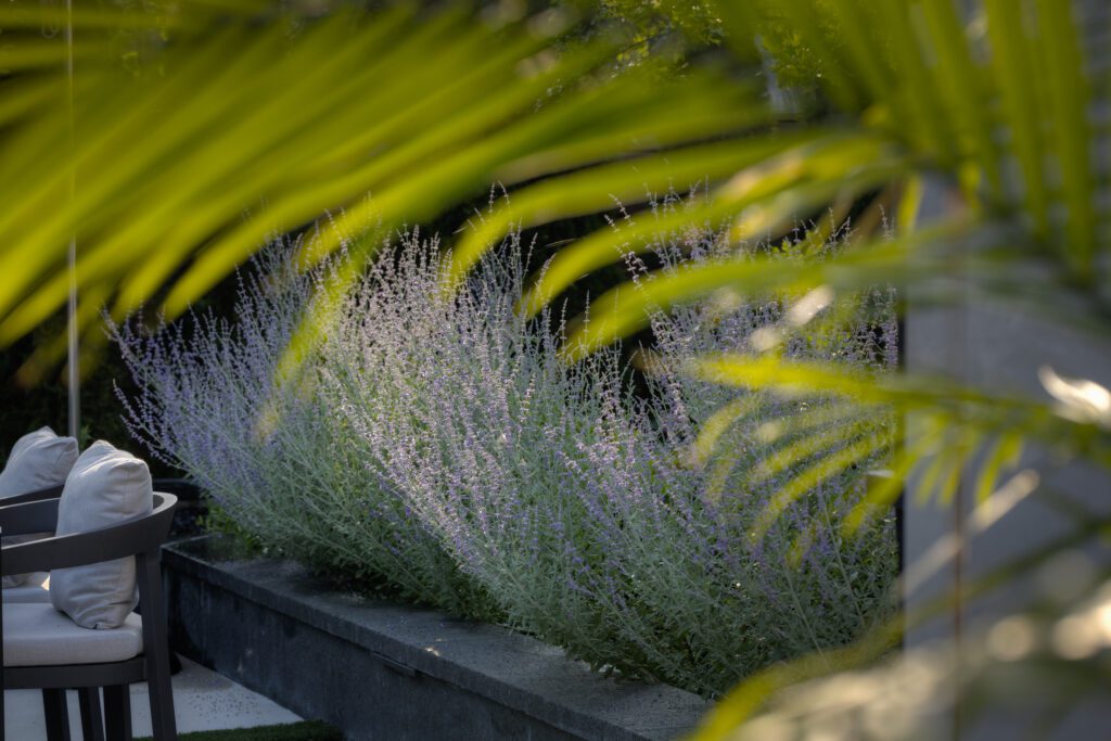 Close-up view of various plants and greenery next to a pool dining area.