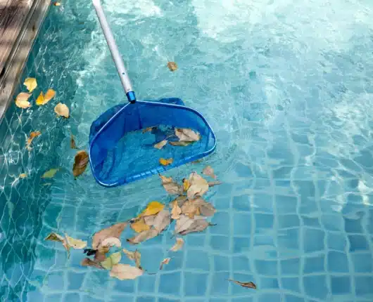 Pool skimmer net removing leaves during pool maintenance before winterizing an inground swimming pool in Toronto.