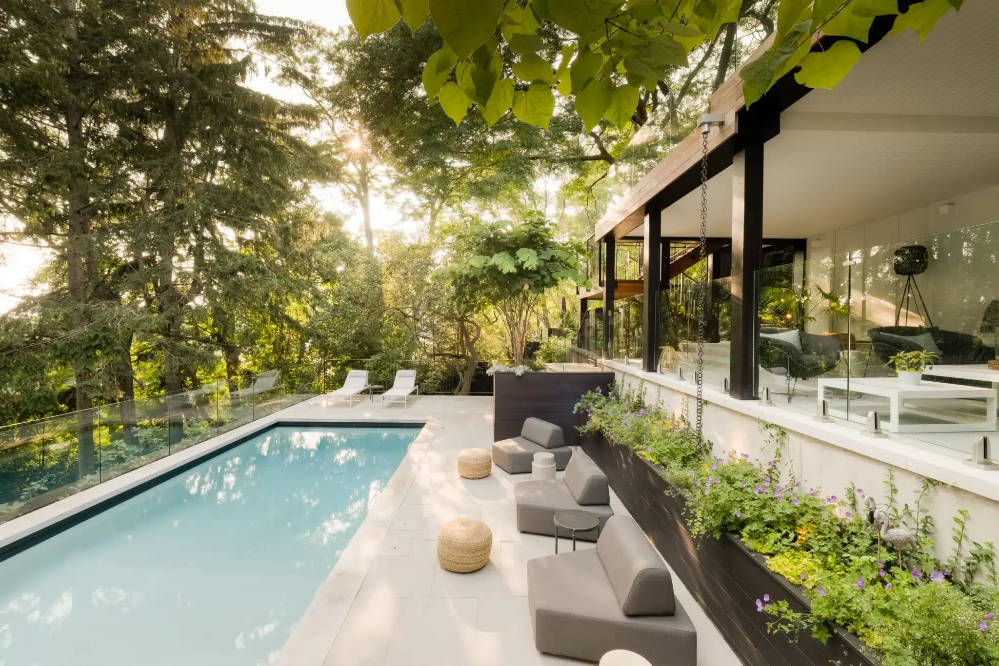 Modern backyard pool beside a contemporary home with glass railing, outdoor lounge seating, and lush landscaping in warm evening light.